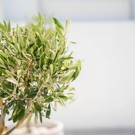 Nóesis Vakantiehuis Astypálaia