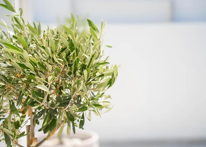 Noesis Feriehus Astypálaia